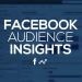 Cách khai thác Audience Insight để xác định đối tượng quảng cáo