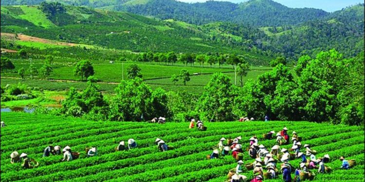 10+ Lợi Ích Của Dịch Vụ SEO Tại Thái Nguyên Mà Doanh Nghiệp Không Thể Bỏ Qua