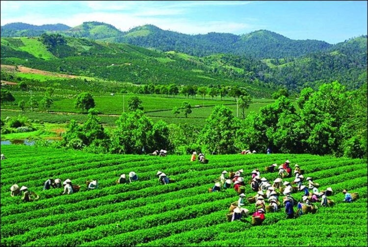 Photo 10+ Lợi Ích Của Dịch Vụ SEO Tại Thái Nguyên Mà Doanh Nghiệp Không Thể Bỏ Qua 1
