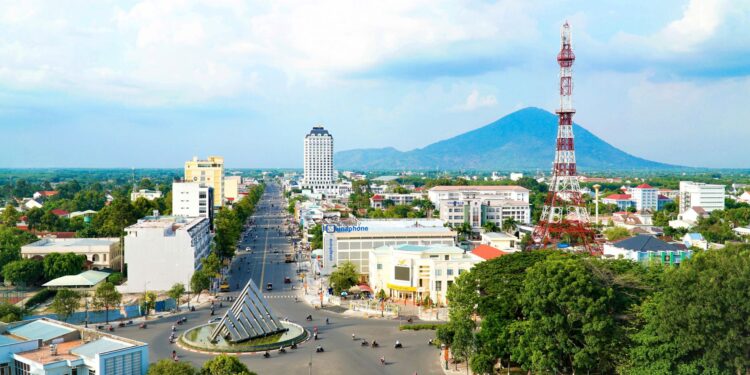 7 Lợi Ích Đáng Kinh Ngạc Từ Dịch Vụ SEO Tây Ninh Cho Doanh Nghiệp