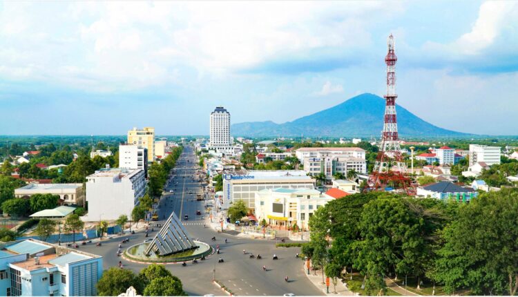 Photo 7 Lợi Ích Đáng Kinh Ngạc Từ Dịch Vụ SEO Tây Ninh Cho Doanh Nghiệp 1