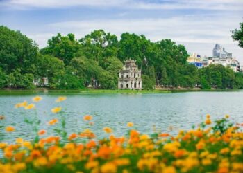 10+ Bí Quyết Chọn Dịch Vụ SEO Hoàn Kiếm Giá Rẻ Hiệu Quả Nhất 2024