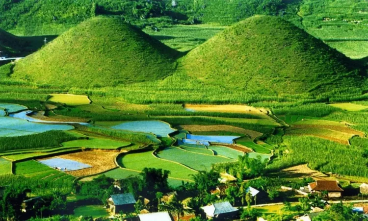 Photo 10+ Lợi Ích Và Quy Trình Chi Tiết Về Dịch Vụ SEO Tại Huyện Sóc Sơn 3