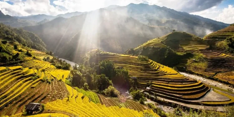10+ Lợi Ích Dịch Vụ SEO Yên Bái Mang Lại Cho Doanh Nghiệp